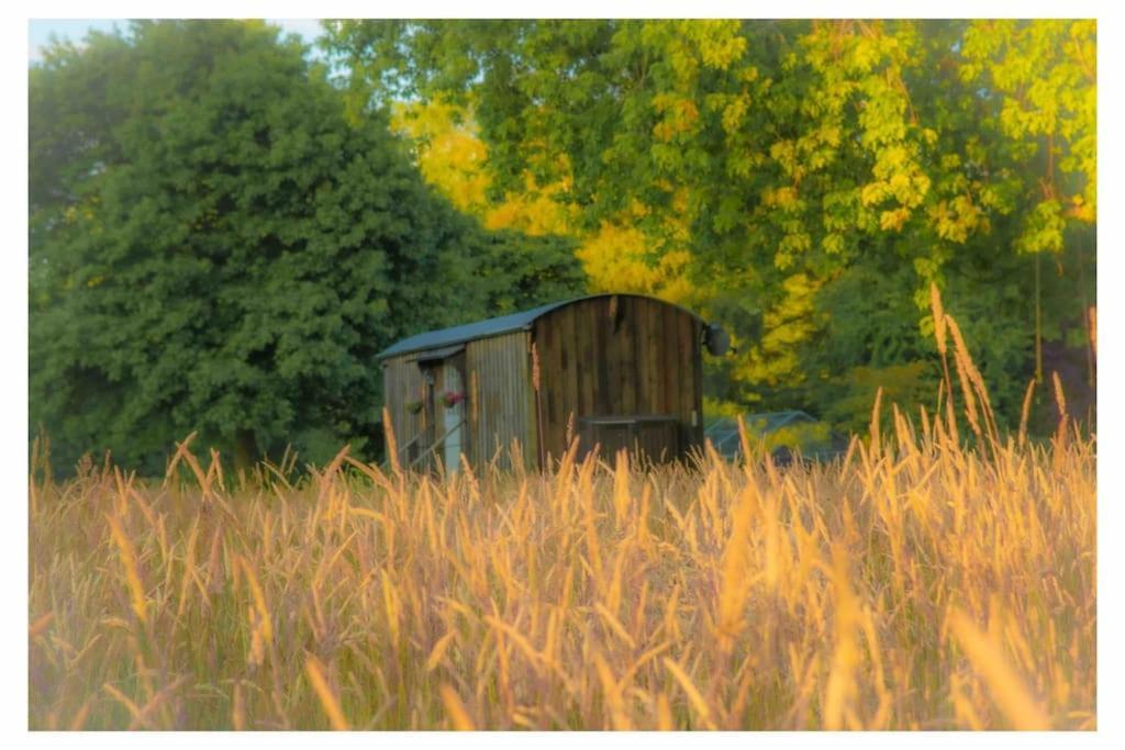 Mountbatten Shepherds Hut & Buckhurst Shepherds Hut آشفورد المظهر الخارجي الصورة