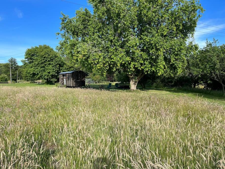 Mountbatten Shepherds Hut & Buckhurst Shepherds Hut آشفورد المظهر الخارجي الصورة