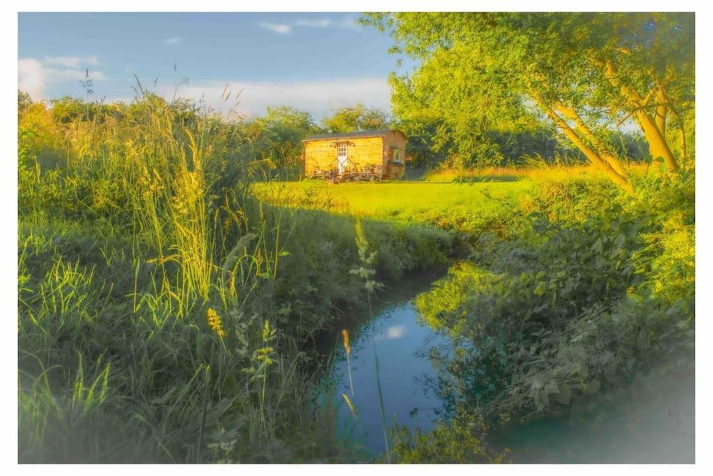 Mountbatten Shepherds Hut & Buckhurst Shepherds Hut آشفورد المظهر الخارجي الصورة