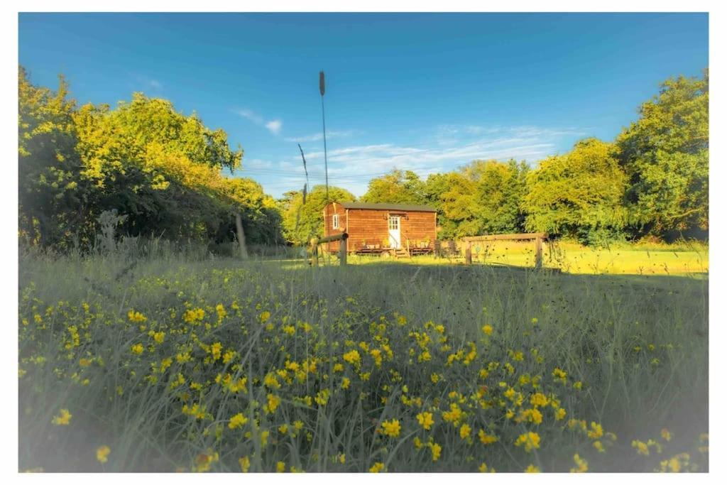 Mountbatten Shepherds Hut & Buckhurst Shepherds Hut آشفورد المظهر الخارجي الصورة