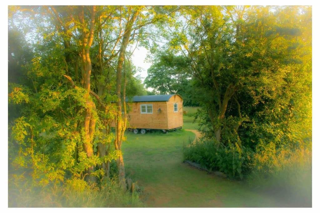 Mountbatten Shepherds Hut & Buckhurst Shepherds Hut آشفورد المظهر الخارجي الصورة