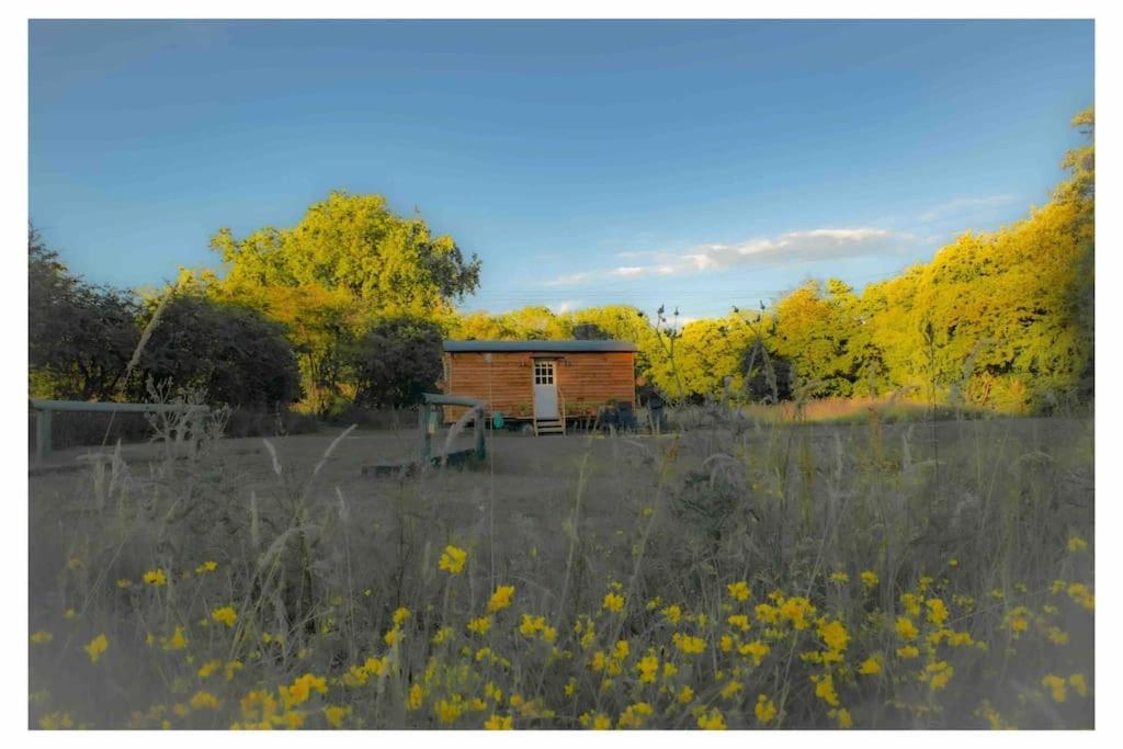 Mountbatten Shepherds Hut & Buckhurst Shepherds Hut آشفورد المظهر الخارجي الصورة