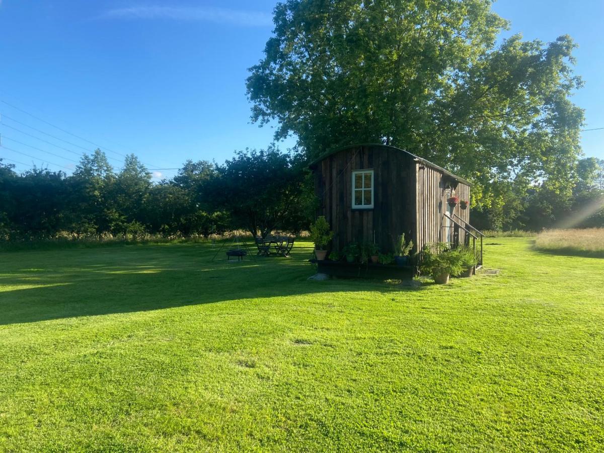 Mountbatten Shepherds Hut & Buckhurst Shepherds Hut آشفورد المظهر الخارجي الصورة