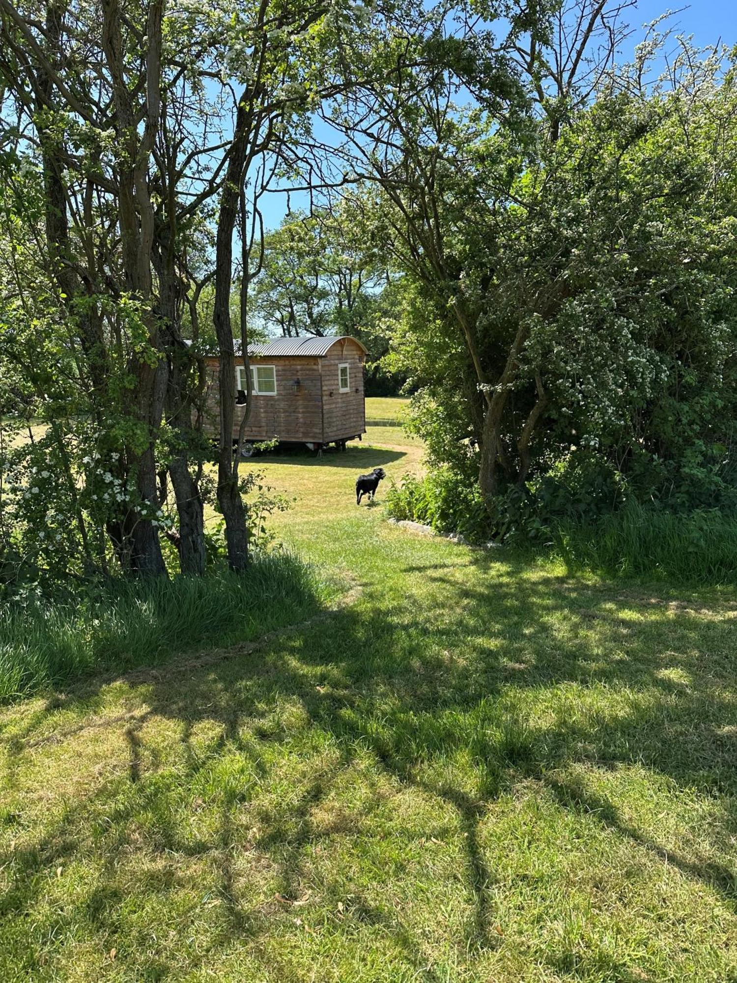 Mountbatten Shepherds Hut & Buckhurst Shepherds Hut آشفورد المظهر الخارجي الصورة