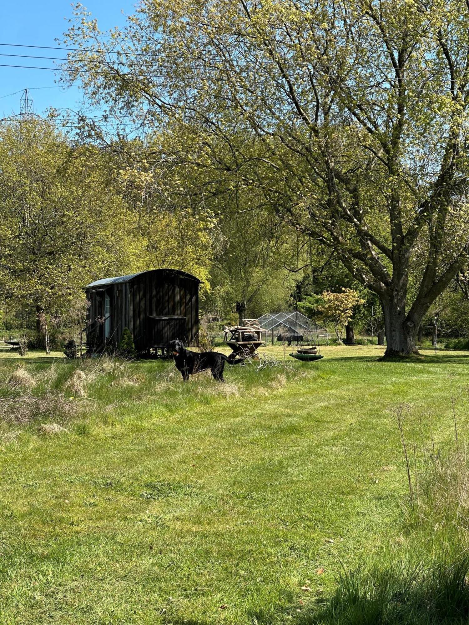 Mountbatten Shepherds Hut & Buckhurst Shepherds Hut آشفورد المظهر الخارجي الصورة